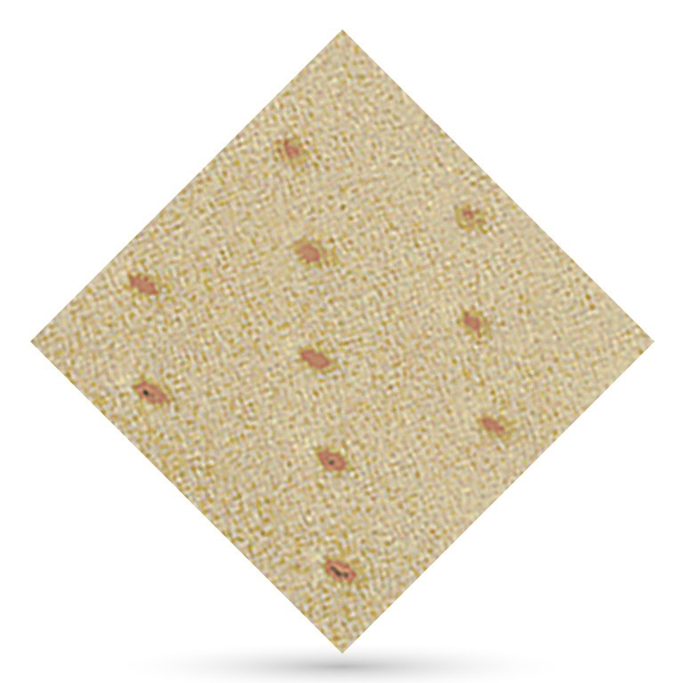 HERBITAS PLANCHA 1,5MM EVA PERFO CARNE